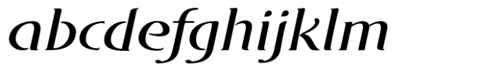 DT Skiart Serif Leaf Medium Italic Font LOWERCASE