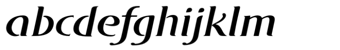 DT Skiart Serif Leaf More Medium Italic Font LOWERCASE