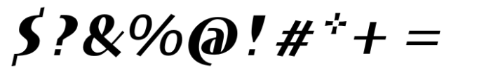DT Skiart Serif Mini Black Italc Font OTHER CHARS
