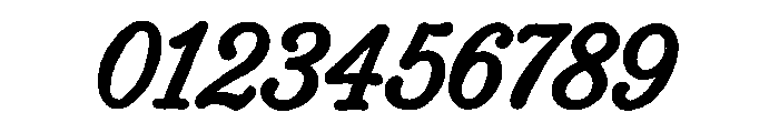 Dusklight Script Regular Font OTHER CHARS