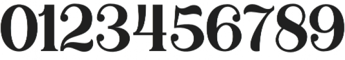 Duarose Serif otf (400) Font OTHER CHARS