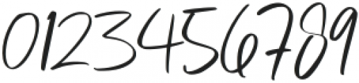 Dublishine Signature Regular otf (400) Font OTHER CHARS