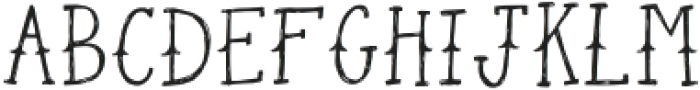 Dusky Pines Serif otf (400) Font UPPERCASE
