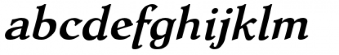 Dutch Mediaeval Pro Bold Italic Regular Font LOWERCASE