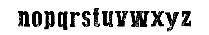 Dust West Italic Font LOWERCASE
