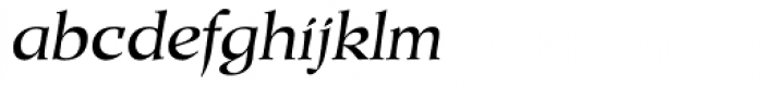 Duckweed Italic Font LOWERCASE