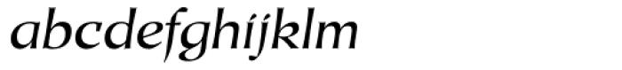 Duckweed Sans Italic Font LOWERCASE