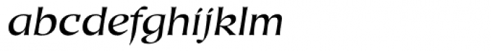 Duckweed Sans Sx Italic Font LOWERCASE