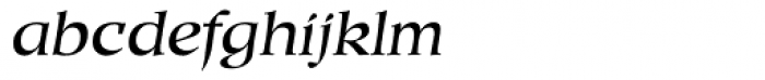 Duckweed Sx Italic Font LOWERCASE