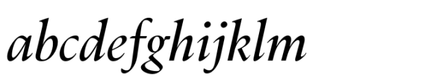 Dupincel Large Italic Font LOWERCASE