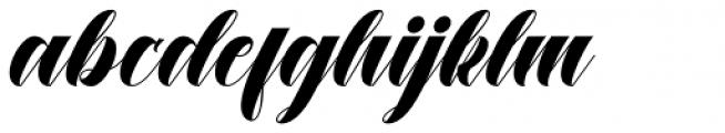 Dustine Script Italic Font LOWERCASE