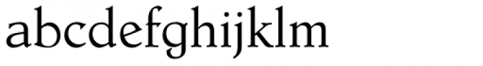 Dutch Mediaeval Pro ST Font LOWERCASE