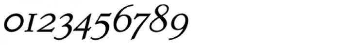 Dutch Mediaeval SCOsF Italic Font OTHER CHARS
