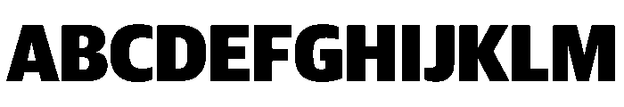 Duplex Sans Black Font UPPERCASE