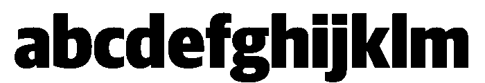 Duplex Sans Black FONT