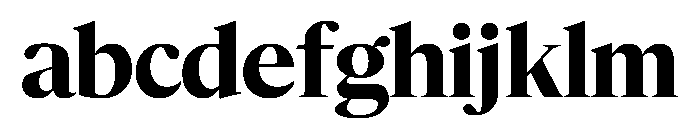 Duplex Serif Bold FONT