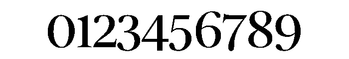 Duplex Serif Regular Font OTHER CHARS