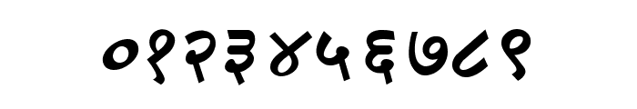 DV-TTSurekh Bold Italic Font OTHER CHARS