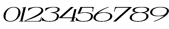 Dyrenko Italic Font OTHER CHARS