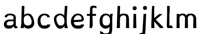 Dyslexie Regular Font LOWERCASE