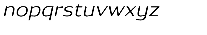 Dynasty Light Italic Font LOWERCASE