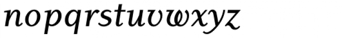 Dyadis Std Medium Italic Font LOWERCASE