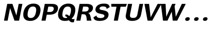 DynaGrotesk Extra Expanded Bold Italic Font UPPERCASE