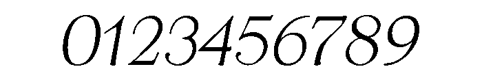 Dyrynk Regular Italic Font OTHER CHARS