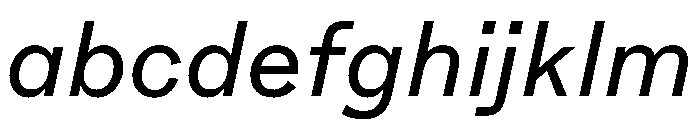 E8888Web Italic FONT