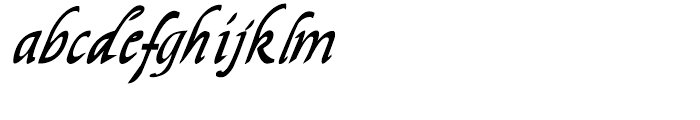 Easy Callig Italic Font LOWERCASE