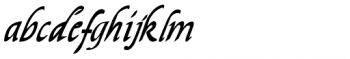 Easy Callig Italic Font LOWERCASE