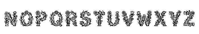 Eclipseon Regular Font LOWERCASE