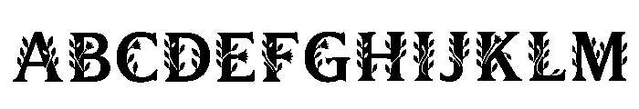 Ecosy Regular FONT
