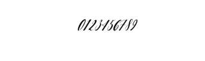 Ectomorph - Beautiful Script Font OTHER CHARS