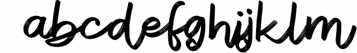 Ecustic | Elegant Script Font Font LOWERCASE