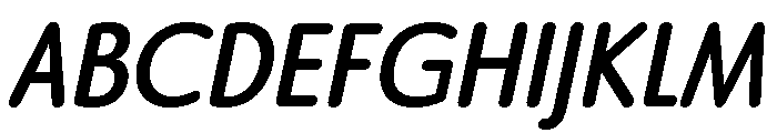 Edu Au Vic Wa Nt Bold Italic Font UPPERCASE