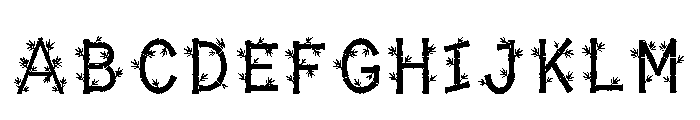 Eda Regular Font UPPERCASE