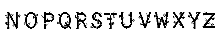 Eda Regular Font LOWERCASE