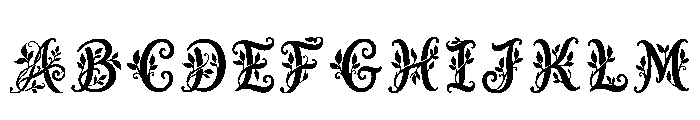 Edelweiss Regular FONT