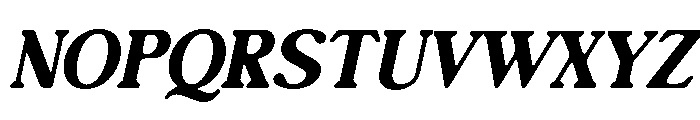 Editorial Collection Serif Italic Font UPPERCASE
