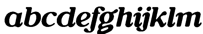 Editorial Collection Serif Italic FONT