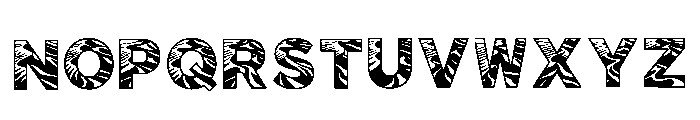Edyna Regular Font UPPERCASE