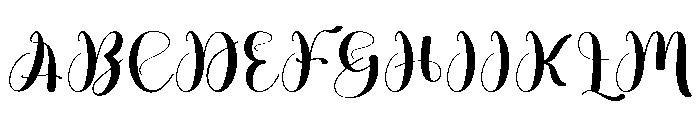 Edition Photography Font UPPERCASE