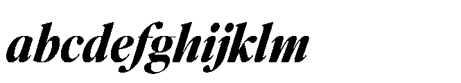 Editors Note Editor's Note Bold Italic FONT