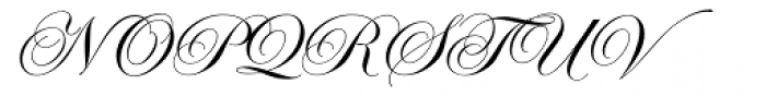 Edwardian Script Font UPPERCASE