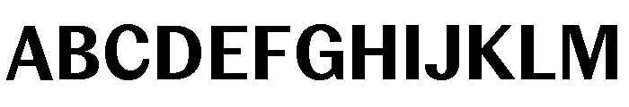 Editorial Sans Bold 2 Font UPPERCASE