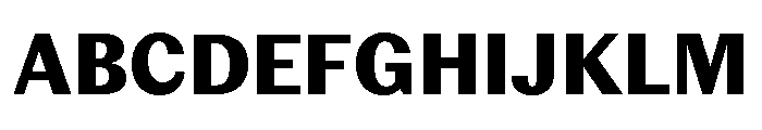 Editorial Sans Heavy 2 Font UPPERCASE