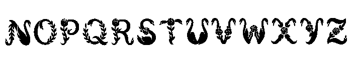 Efren Regular Font LOWERCASE