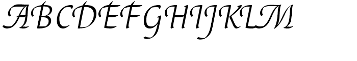 EF Elysa Light Italic Swash 1 Font UPPERCASE