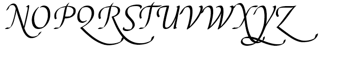 EF Elysa Light Italic Swash 3 Font UPPERCASE